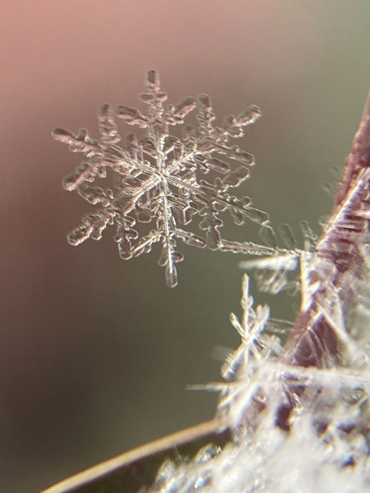 Photograph by Luiza Bashirova