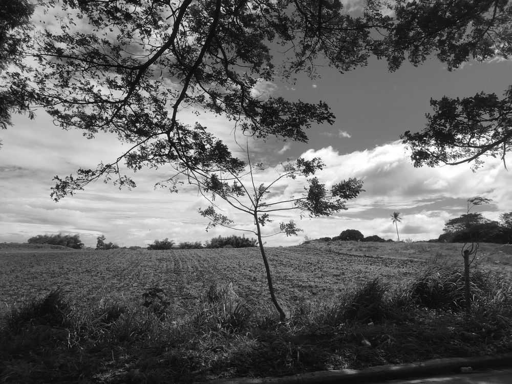 Photo #11906587