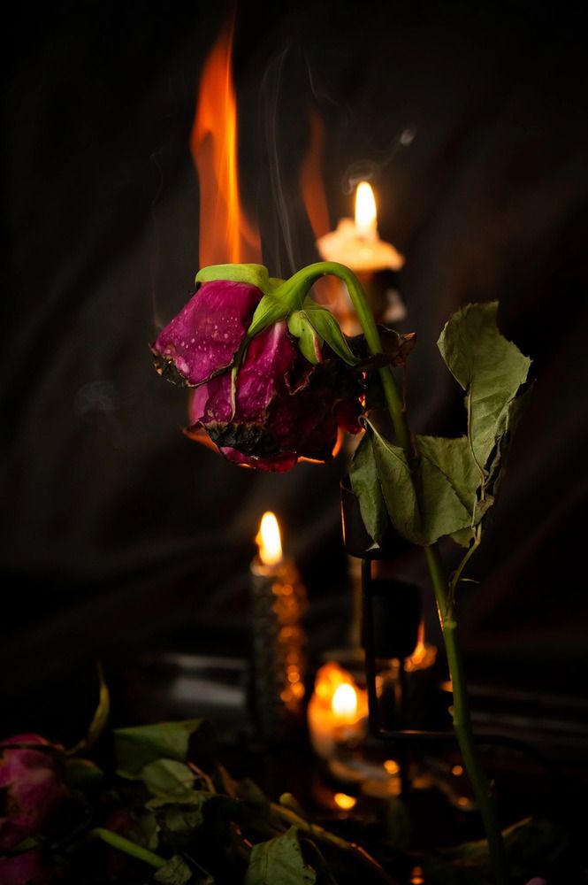 Photograph by Екатерина Одинцова