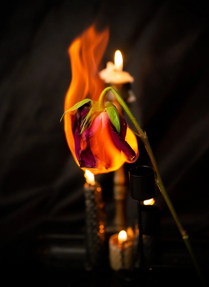 Photograph by Екатерина Одинцова