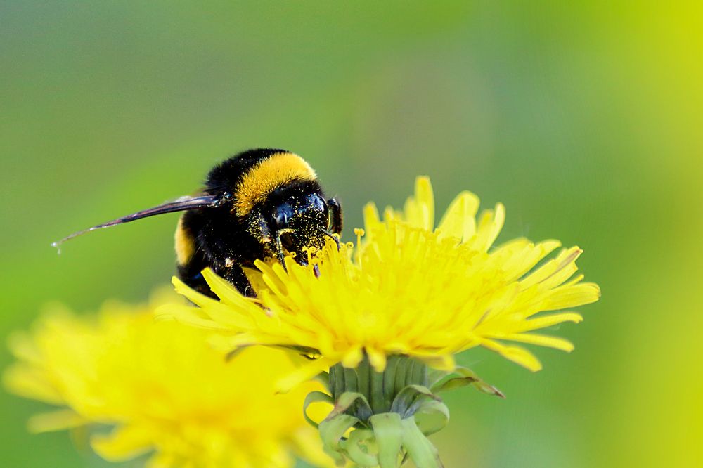 Photograph by Эльза