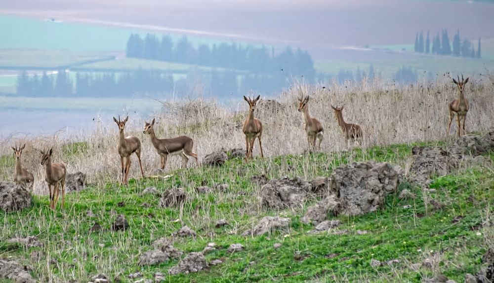 Photograph by Алекс Гейнер