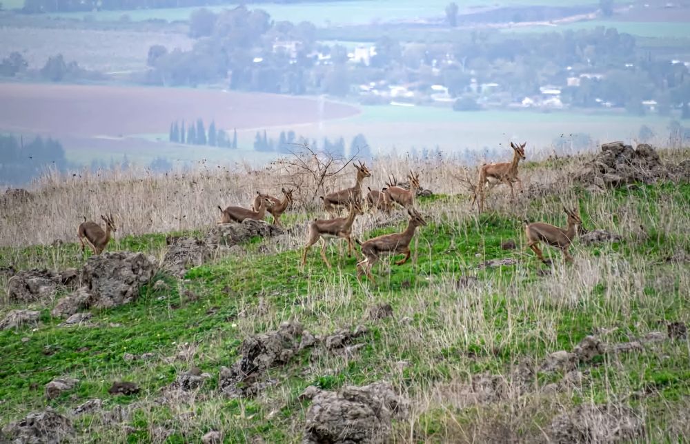 Photograph by Алекс Гейнер
