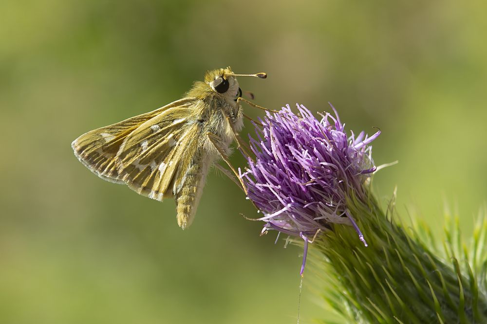 Photograph by Nihan Bayındır