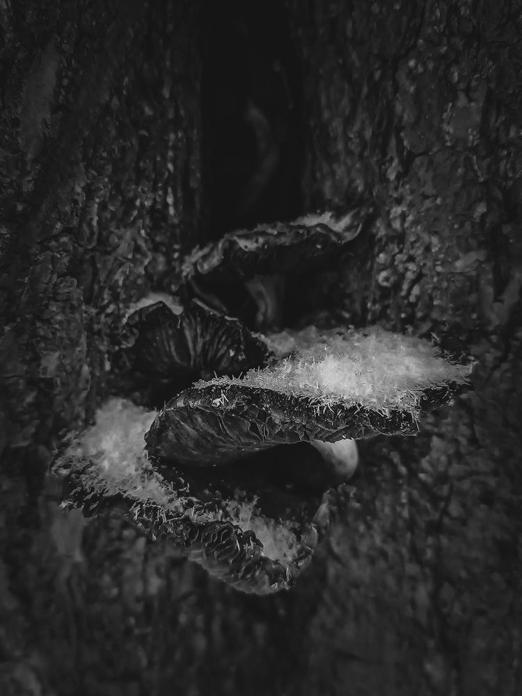 Photograph by Елена Щитова