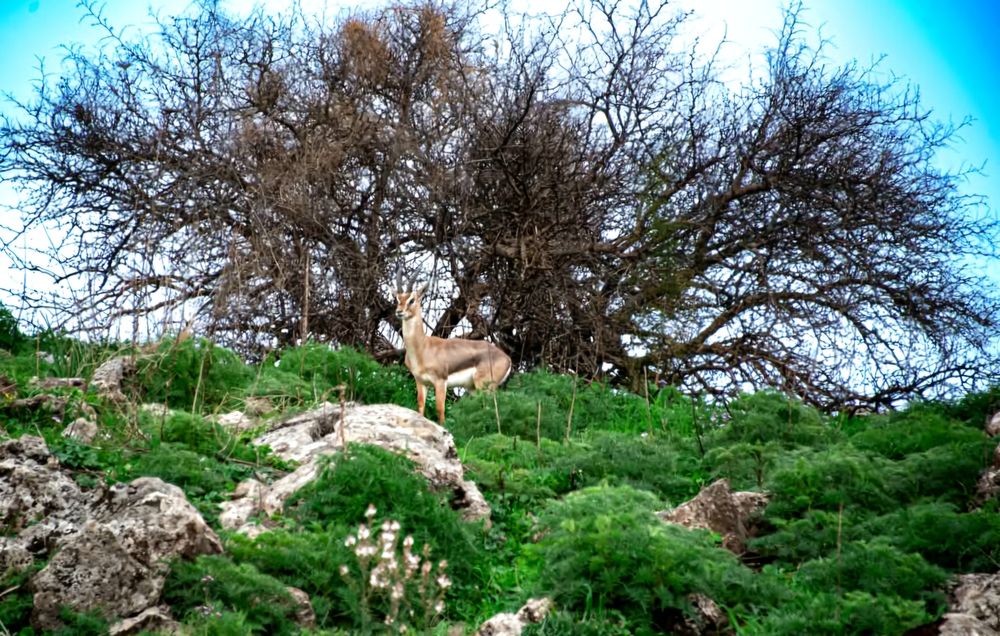 Photograph by Алекс Гейнер