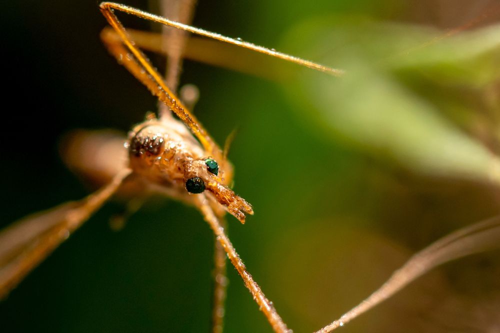 Photograph by Андрей Зуев