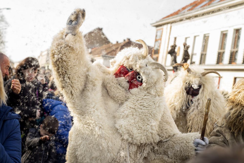 Фотография автора Krisztina Kaposvari