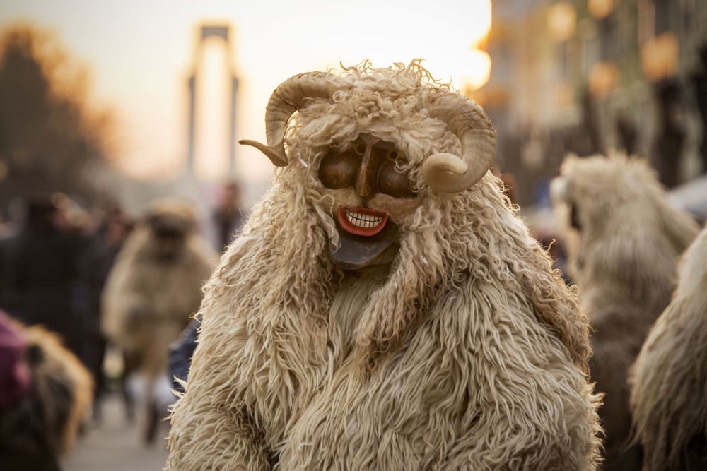 Фотография автора Krisztina Kaposvari