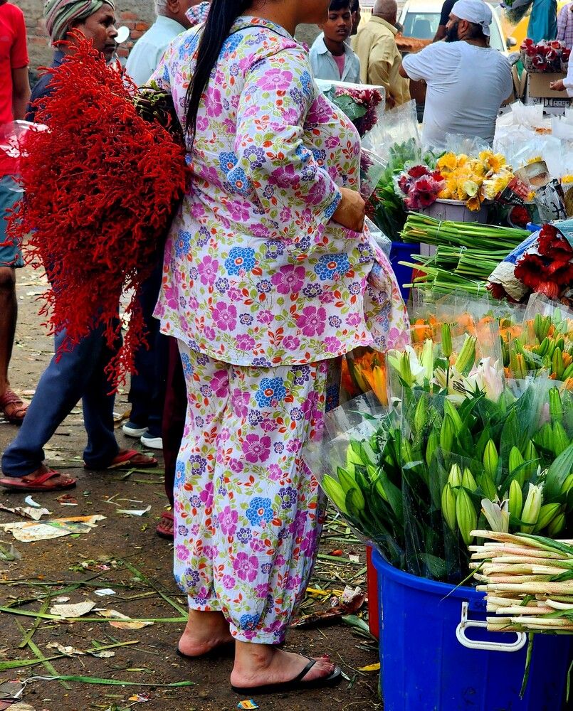 Photograph by G GOVIL