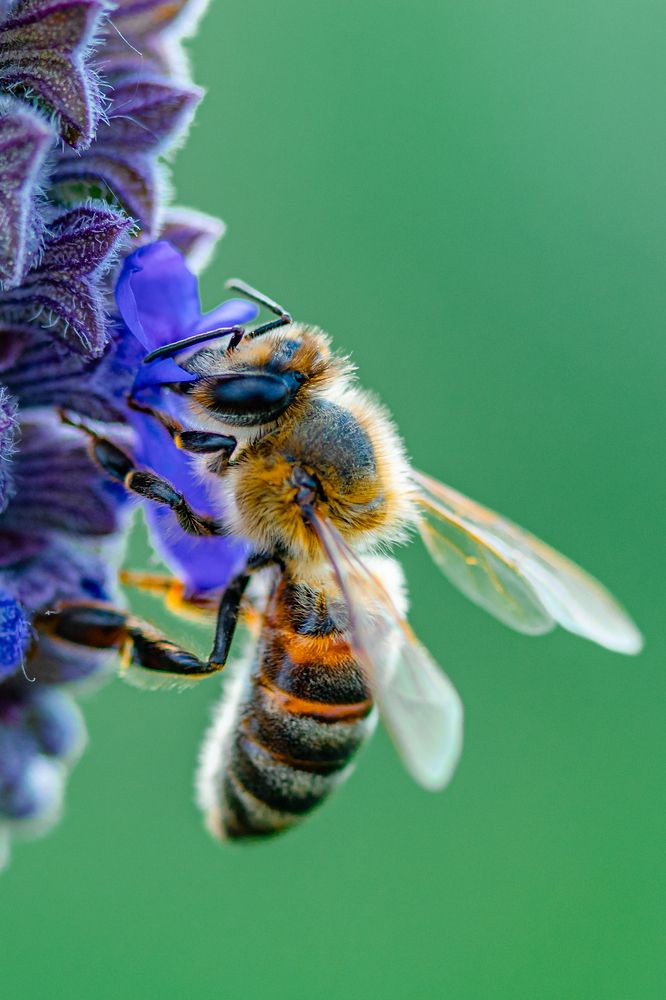 Photograph by Дмитрий Казачек