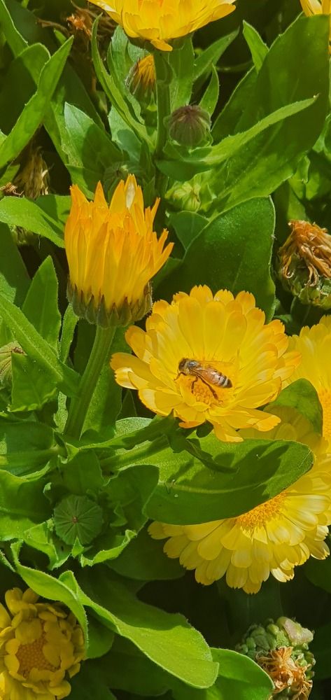 Фотография автора Priscilla Niranjan