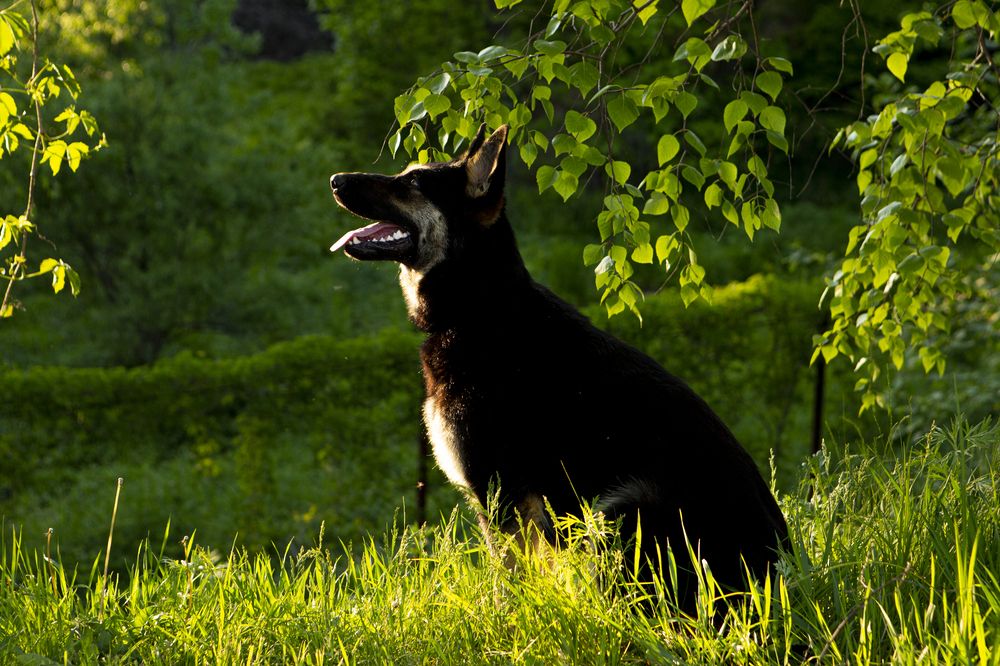 Photograph by Артём Скороделов