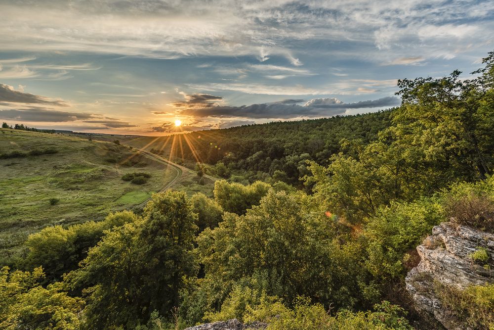 Photograph by Александр Щербаков