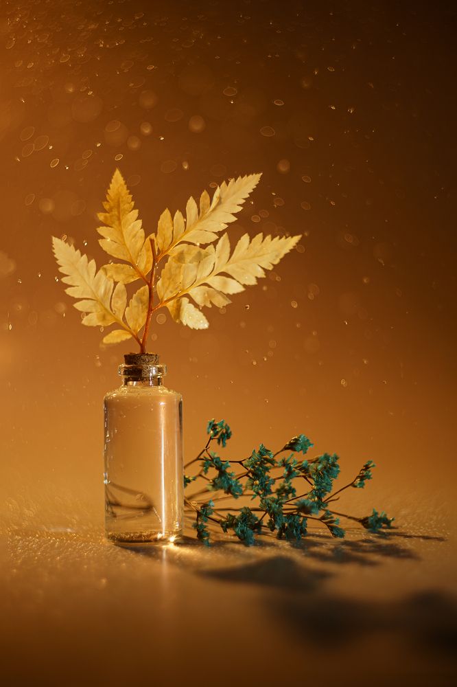 Photograph by Кулишев Николай