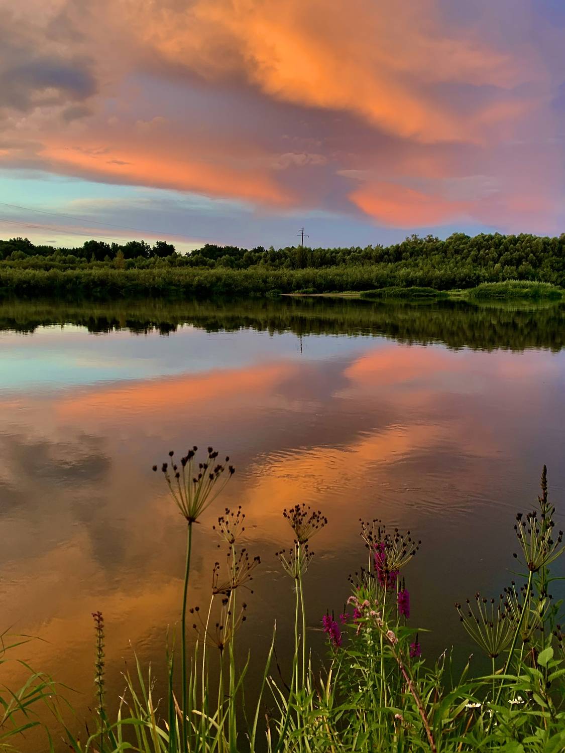 Оранжевый закат
