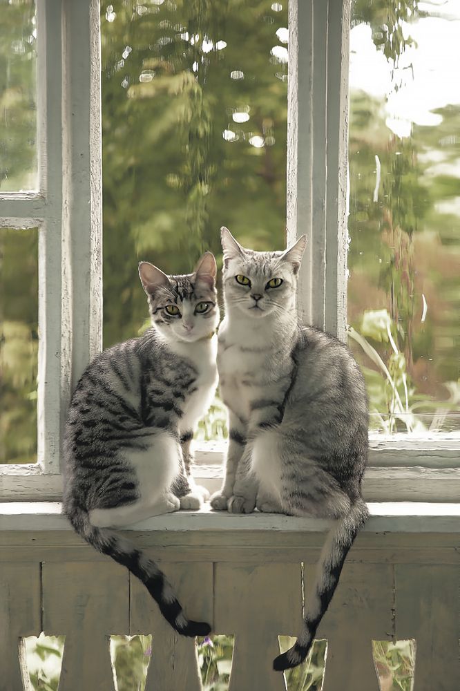 Photograph by Дарья Юсарева