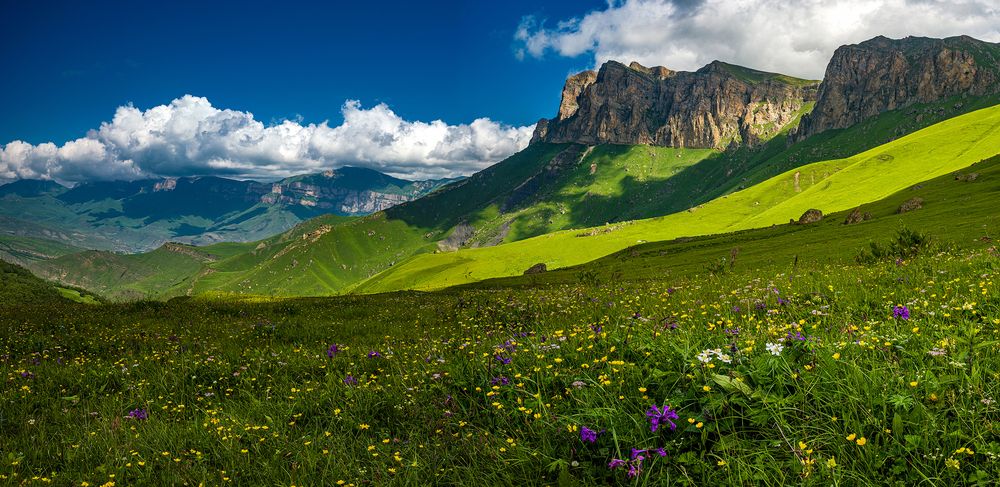 Photograph by Евгений Кармаев