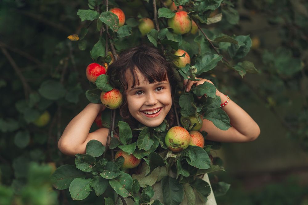 Украшение жизни