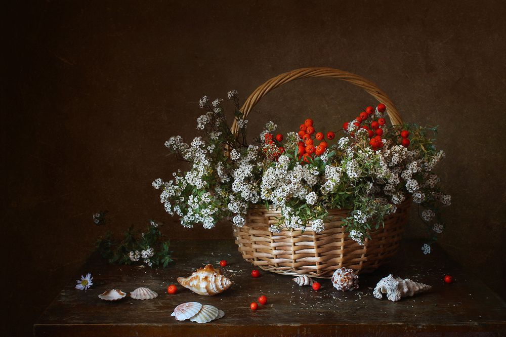 Photograph by Курочкина Диана