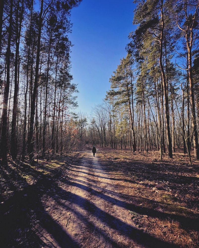 Photograph by Пётр Семенюк