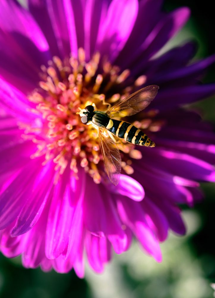 Photograph by Бржозовская Яна