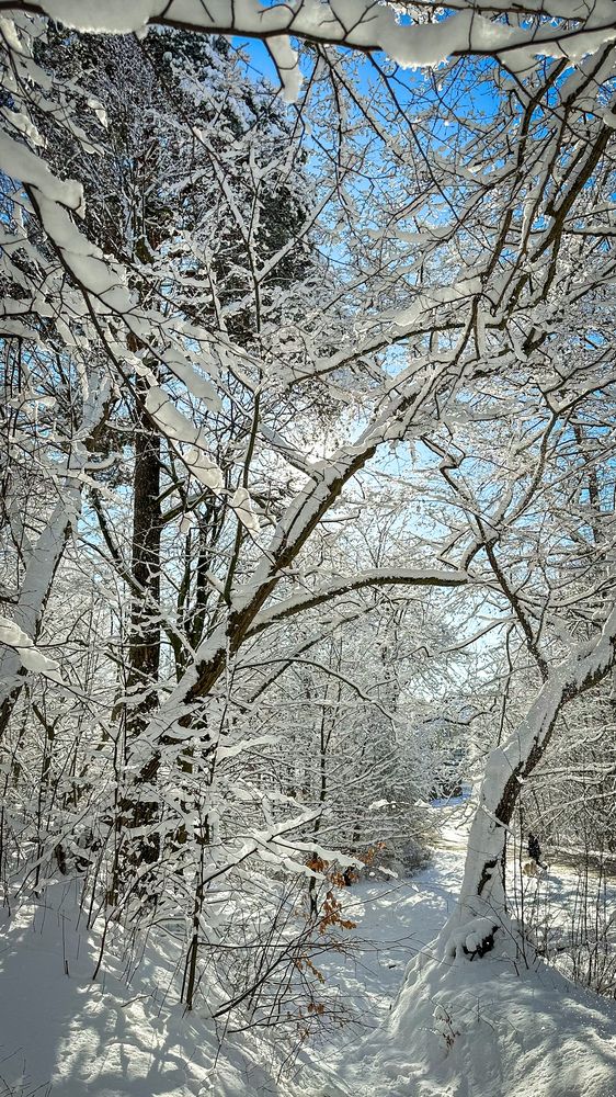 Photograph by Елена Болдырева