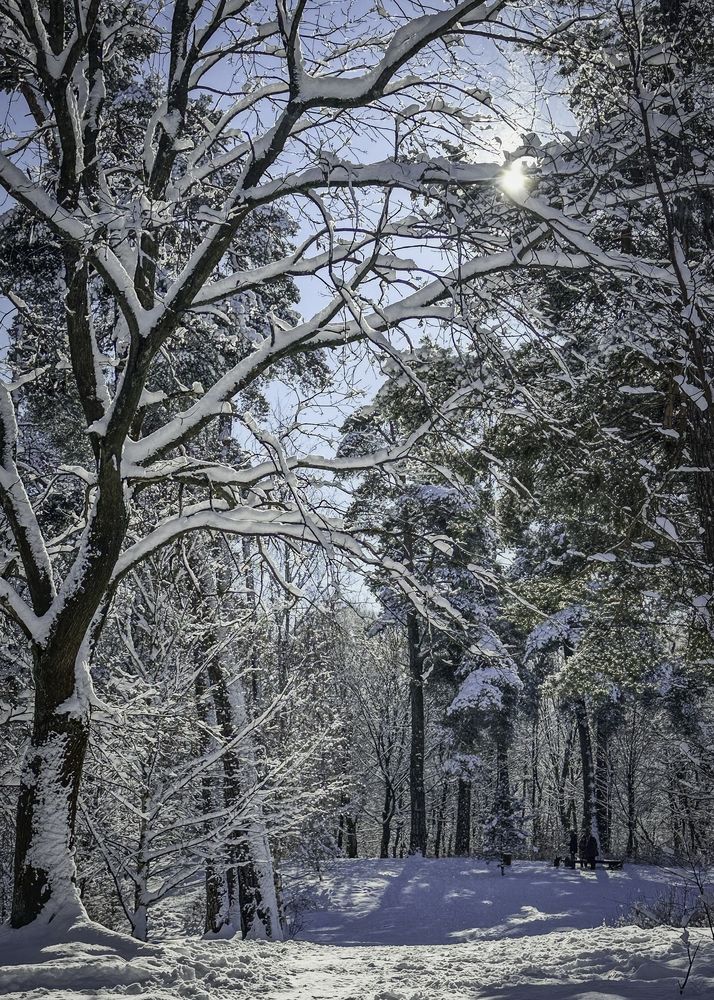 Photograph by Елена Болдырева