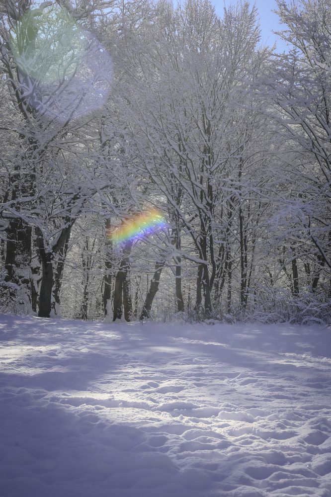 Photograph by Елена Болдырева