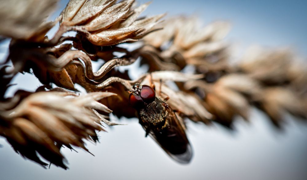 Photograph by Бржозовская Яна