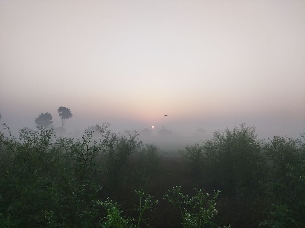 A winter morning