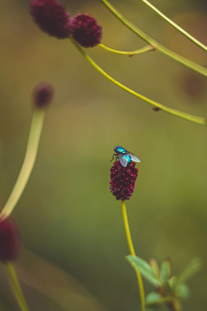 Photograph by Татьяна Ровенская