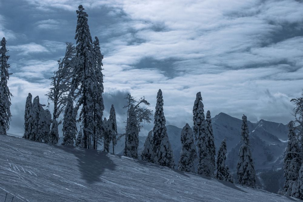 Фотография автора Татьяна Сергиенко