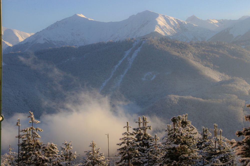 Фотография автора Татьяна Сергиенко