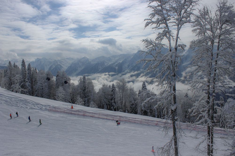 Фотография автора Татьяна Сергиенко