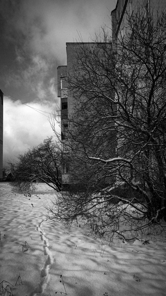 Photograph by Евгения Гродинская