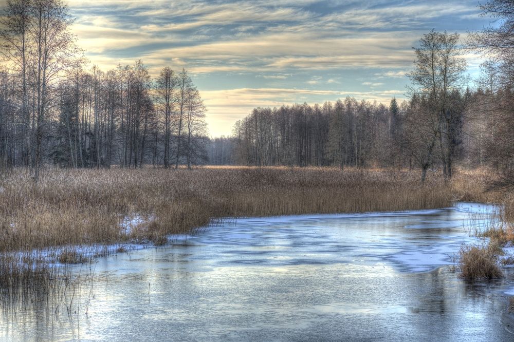 Фотография автора Юрий Кашлевский