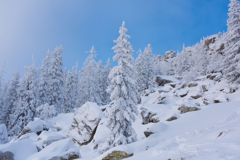 Photograph by Наталия Сметнёва