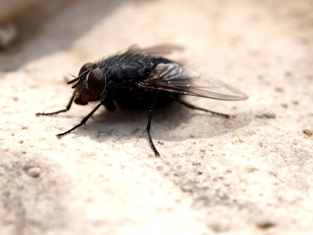 Photograph by Abdolreza Aleagha