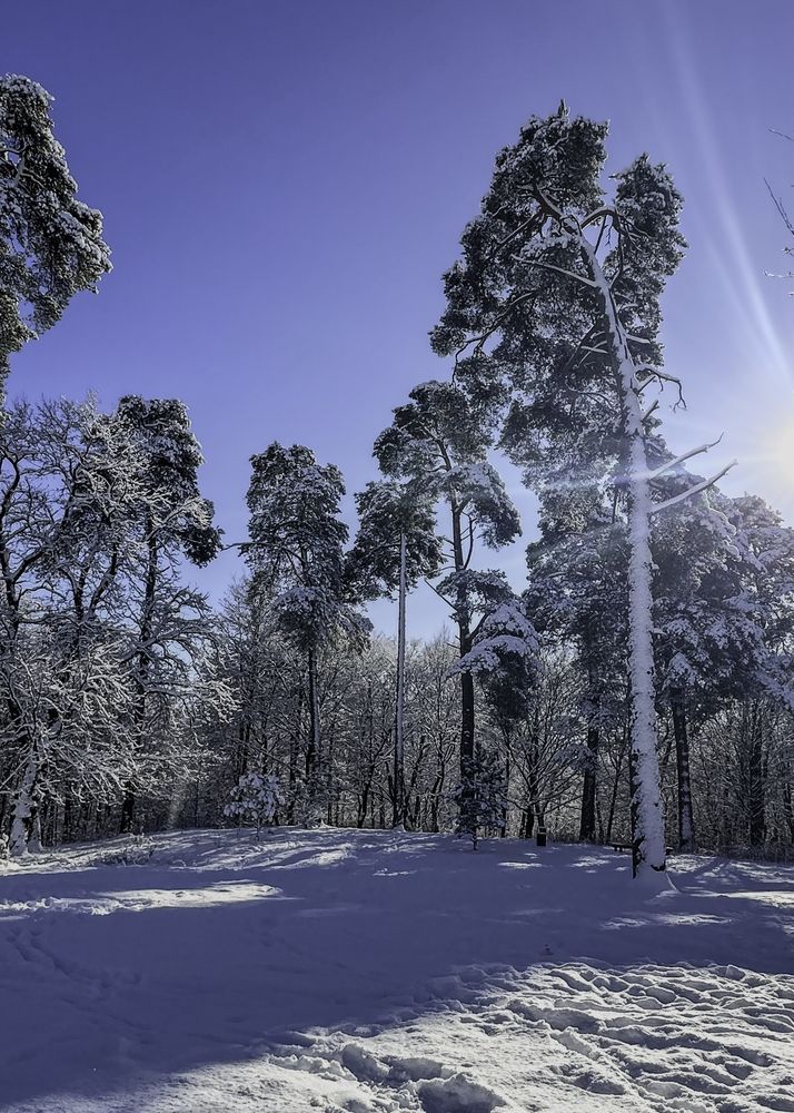 Photograph by Елена Болдырева