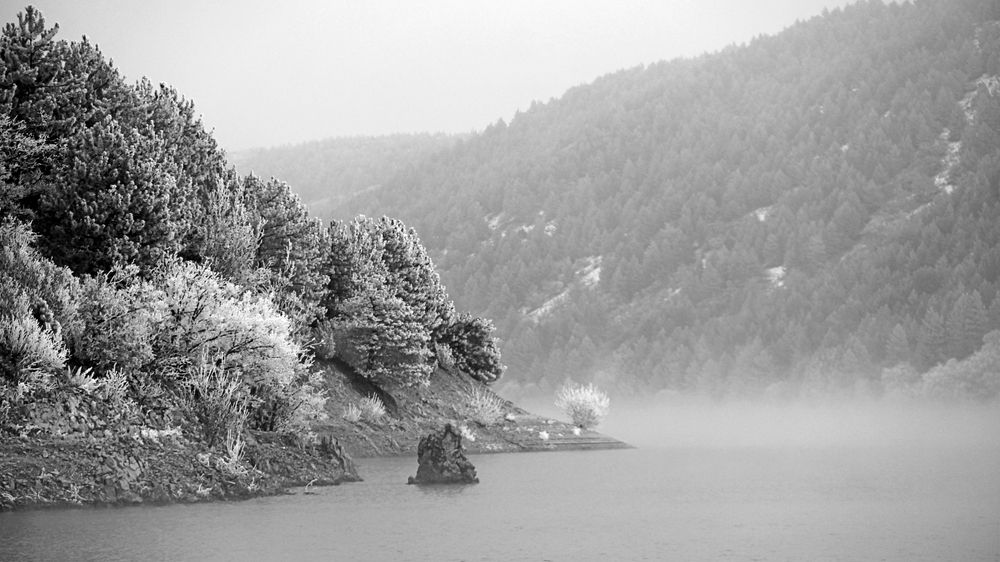 Photograph by Nesrin Ates