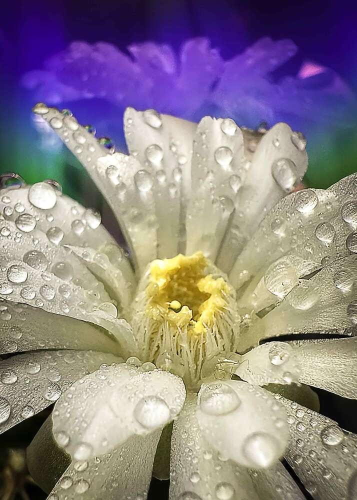 Photograph by Елена Болдырева