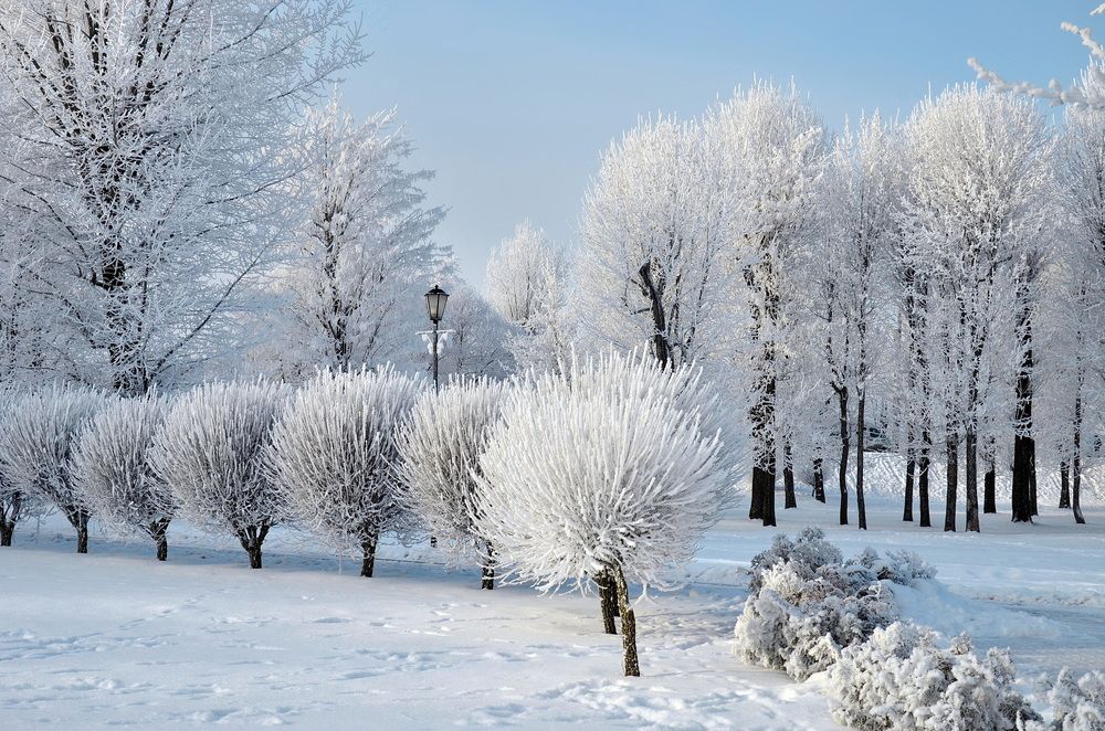 Фотография автора Юрий Кашлевский