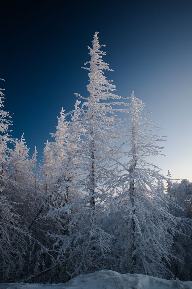 Photograph by Михаил Жарков