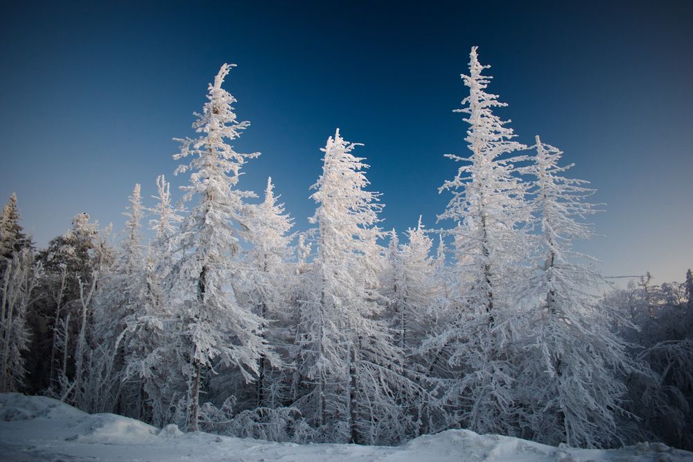 Photograph by Михаил Жарков