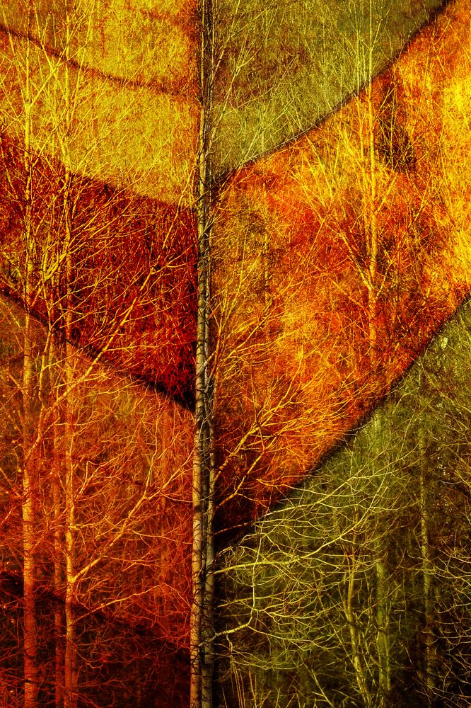 Photograph by Гагик Мхитарян