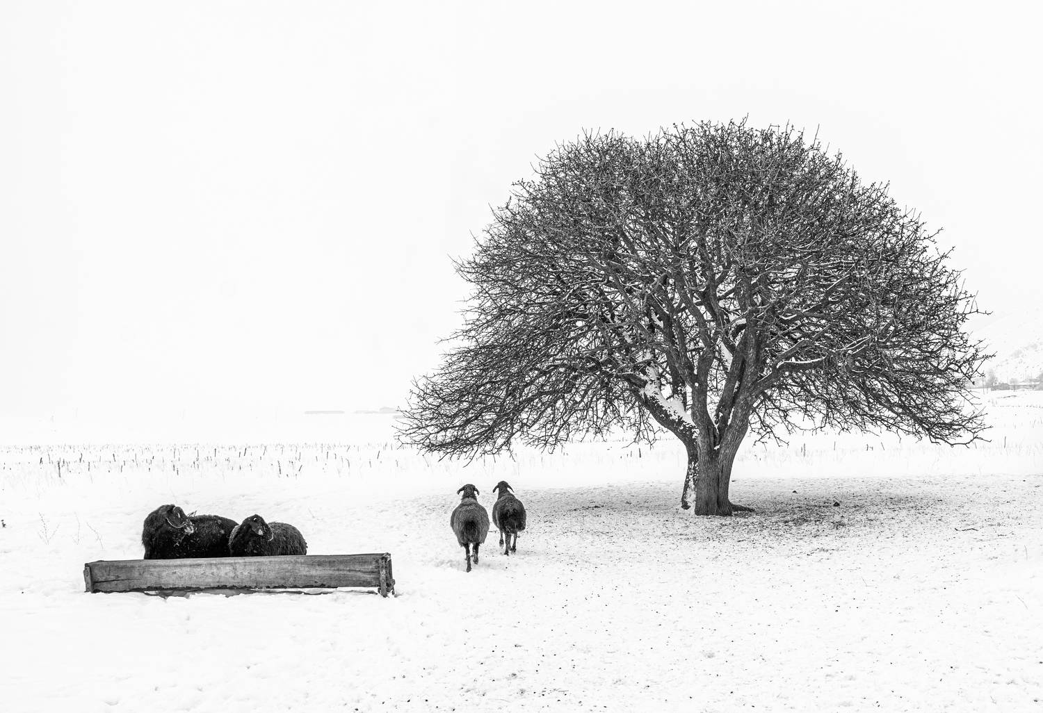 Фотография #11907181