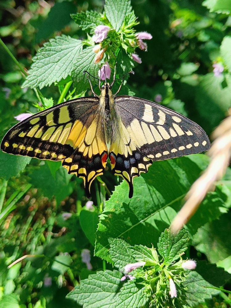 Photograph by Карина Слабкая