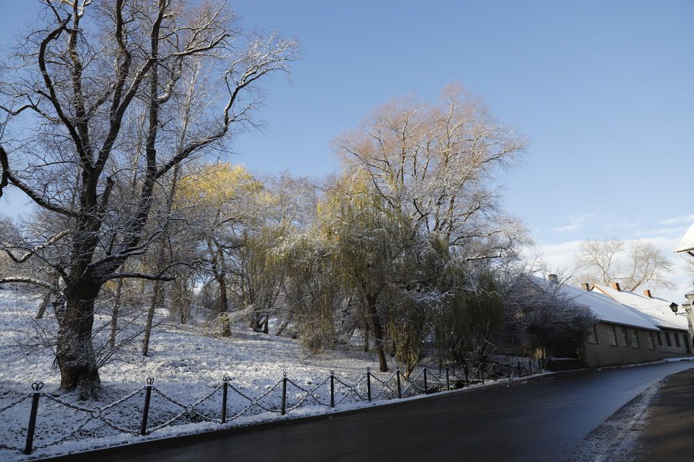 Photograph by ILONA KILA