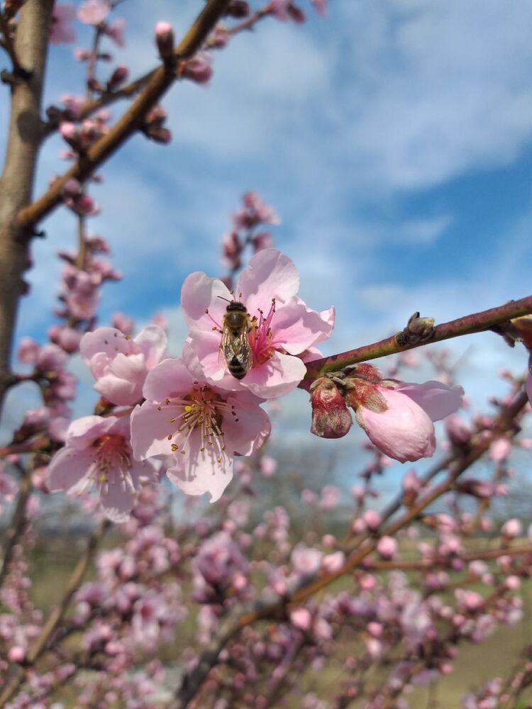 Photograph by Валентина Сабий